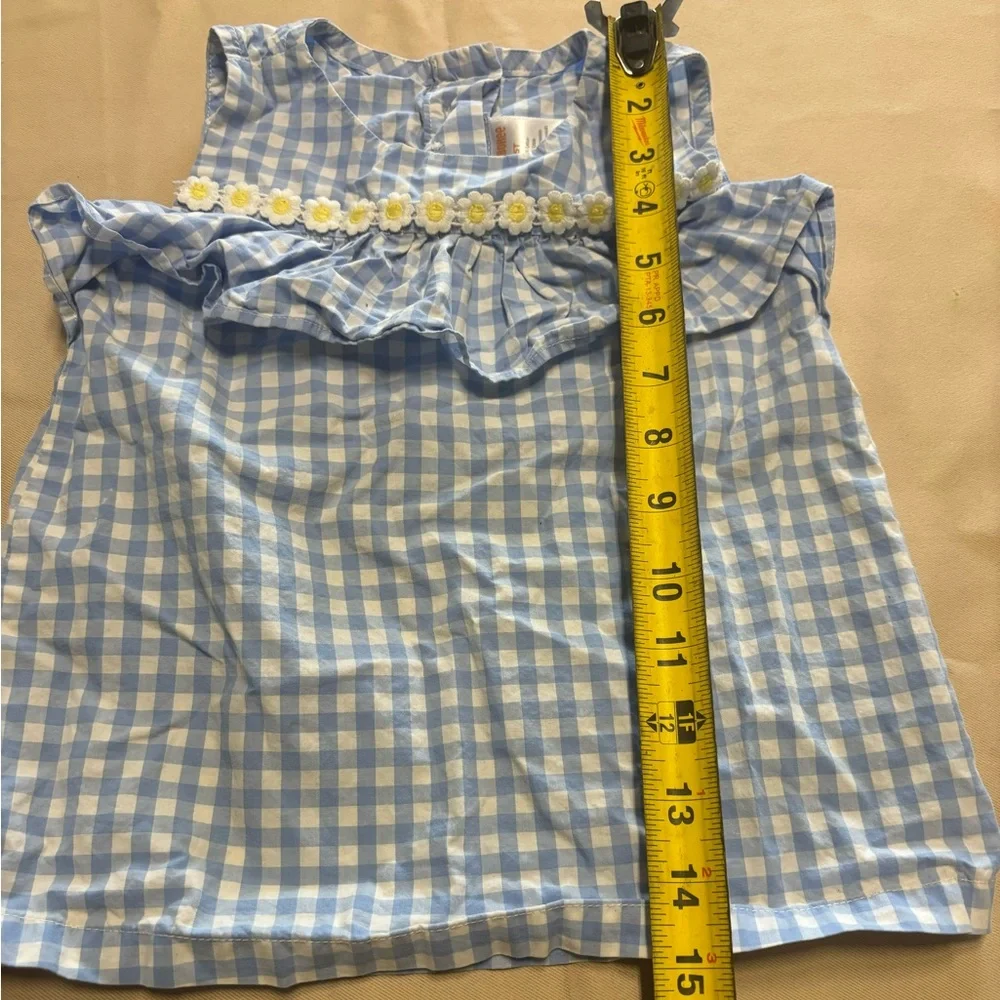 Gymboree Blue and‎ White Gingham Blouse with Ruffle and Daisies